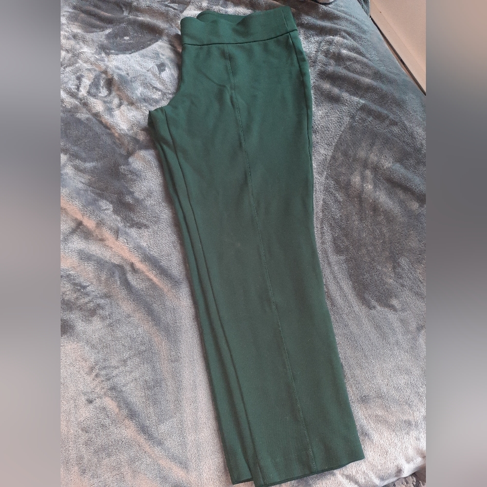 Anne Klein pull on career pants